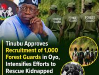 Nigeria – Federal Government Approves Recruitment of 1,000 Forest Guards in Oyo State