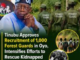 Nigeria – Federal Government Approves Recruitment of 1,000 Forest Guards in Oyo State