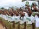 NYSC 2026 Batch B Niger State Suspension List