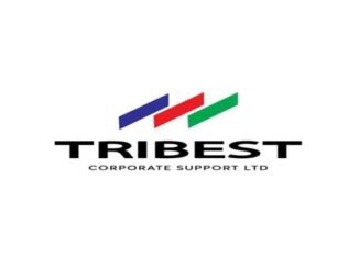 Sales Representative Job at Tribest Corporate Support in Lagos, Nigeria (₦250,000 Monthly) | Apply for Sales Representative Jobs in Nigeria 2026