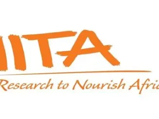 IITA Recruitment 2026: State Coordinator Job in Ebonyi