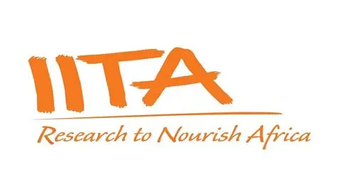 IITA Recruitment 2026: State Coordinator Job in Ebonyi IITA Recruitment 2026: State Coordinator Job in Ebonyi