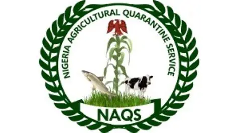 NAQS Recruitment Shortlist 2026: CBT Exam Date, Past Questions and Answers, Screening Requirements and How to Check