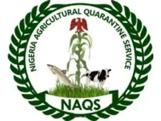 NAQS Shortlist 2026: Check Recruitment Status and CBT Examination Date